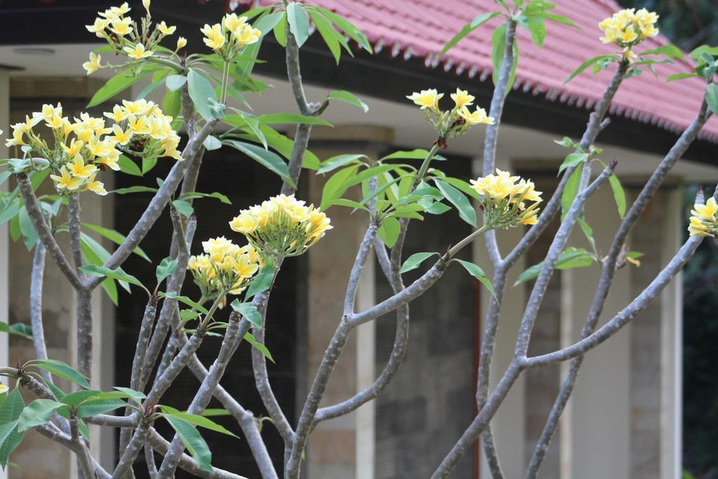 Lala Home Stay 努沙杜瓦 外观 照片